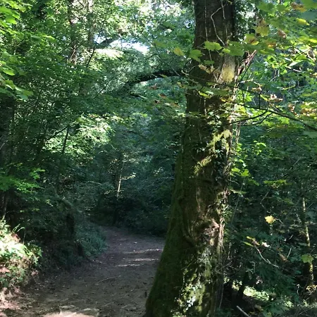 Oak - Oak View Lodges Holiday home